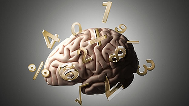 cerebro numeros